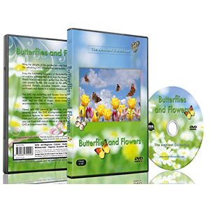 Isis Visuals Nature DVD Butterflies and Flowers with Relaxing Nature Sounds Isis Visuals Nature DVD Butterflies and Flowers with Relaxing Nature Sounds