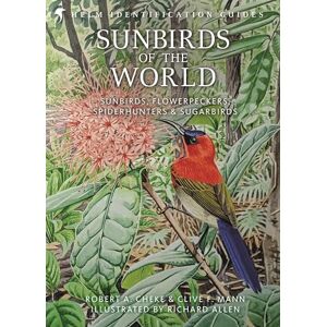Robert A. Cheke Sunbirds of the World: Sunbirds, Flowerpeckers, Spiderhunters & Sugarbirds: Sunbirds, Flowerpeckers, Spiderhunters and Sugarbirds, Second Edition (Helm Identification Guides) Robert A. Cheke Sunbirds of the World: Sunbirds, Flowerpeckers, Spiderhunters & Sugarbirds: Sunbirds, Flowerpeckers, Spiderhunters and Sugarbirds, Second Edition (Helm Identification Guides)