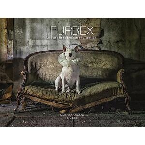 Alice Van Kempen Furbex: A Dog's Life of Urban Exploration Alice Van Kempen Furbex: A Dog's Life of Urban Exploration