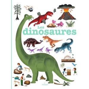 Hedelin, Pascale Mes annees pourquoi/Les dinosaures Hedelin, Pascale Mes annees pourquoi/Les dinosaures