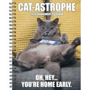 Willow Creek Press Cat-Astrophe 2026 Engagement Calendar Willow Creek Press Cat-Astrophe 2026 Engagement Calendar