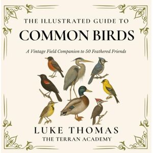 Thomas, Luke The Illustrated Guide to Common Birds: A Vintage Field Companion to 50 Feathered Friends (The Illustrated Field Companion Series) Thomas, Luke The Illustrated Guide to Common Birds: A Vintage Field Companion to 50 Feathered Friends (The Illustrated Field Companion Series)