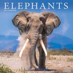 Avonside Publishing Ltd Elephants 2027 Calendar Square Wall Calendar Animal Gift Plastic Free Packaging by Avonside Publishing Avonside Publishing Ltd Elephants 2027 Calendar Square Wall Calendar Animal Gift Plastic Free Packaging by Avonside Publishing
