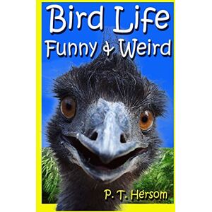 Hersom, P. T. Bird Life Funny & Weird Feathered Animals: Learn with Amazing Bird Pictures and Fun Facts About Birds: Volume 3 (Funny & Weird Animals) Hersom, P. T. Bird Life Funny & Weird Feathered Animals: Learn with Amazing Bird Pictures and Fun Facts About Birds: Volume 3 (Funny & Weird Animals)