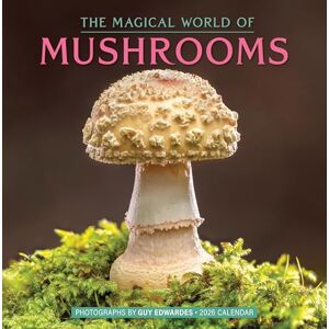 Edwardes, Guy The Magical World of Mushrooms Wall Calendar 2026 Edwardes, Guy The Magical World of Mushrooms Wall Calendar 2026