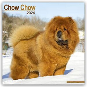 AVONSIDE Chow Chow Calendar 2024 Square Dog Breed Wall Calendar 16 Month AVONSIDE Chow Chow Calendar 2024 Square Dog Breed Wall Calendar 16 Month