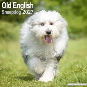 Avonside Publishing Ltd Old English Sheepdog 2027 Calendar Square Wall Calendar Dog Breed Gift Plastic Free Packaging by Avonside Publishing Avonside Publishing Ltd Old English Sheepdog 2027 Calendar Square Wall Calendar Dog Breed Gift Plastic Free Packaging by Avonside Publishing
