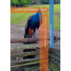 Pace, Giuseppe TRITTICO ITALIA E ROMANIA: 3 Libri di ambienti vissuti (CANALE DI PACE. EVOLUZIONE DEL CITTADINO.) Pace, Giuseppe TRITTICO ITALIA E ROMANIA: 3 Libri di ambienti vissuti (CANALE DI PACE. EVOLUZIONE DEL CITTADINO.)