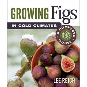 Lee Growing Figs in Cold Climates: A Complete Guide Lee Growing Figs in Cold Climates: A Complete Guide