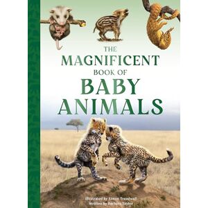 Taylor The Magnificent Book of Baby Animals Taylor The Magnificent Book of Baby Animals