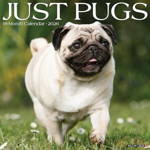 Willow Creek Press Pugs 2026 Wall Calendar Willow Creek Press Pugs 2026 Wall Calendar