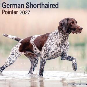 Avonside Publishing Ltd German ShortHaired Pointer 2027 Calendar Square Wall Calendar Dog Breed Gift Plastic Free Packaging by Avonside Publishing Avonside Publishing Ltd German ShortHaired Pointer 2027 Calendar Square Wall Calendar Dog Breed Gift Plastic Free Packaging by Avonside Publishing