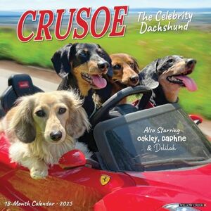 Willow Creek Crusoe the Celebrity Dachshund 2025 Wall Willow Creek Crusoe the Celebrity Dachshund 2025 Wall