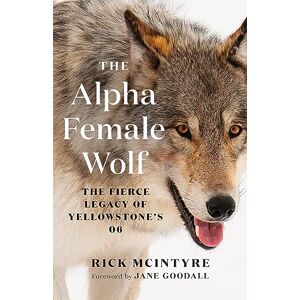 McIntyre, Rick The Alpha Female Wolf: The Fierce Legacy of Yellowstone's 06: 4 (The Alpha Wolves of Yellowstone) McIntyre, Rick The Alpha Female Wolf: The Fierce Legacy of Yellowstone's 06: 4 (The Alpha Wolves of Yellowstone)