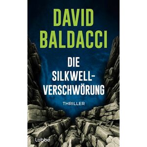 Baldacci, David Die Silkwell-Verschwörung: Thriller. Ein Mord an einer CIA-Agentin. Amerikas schmutzigste Geheimnisse. Ein neuer Fall für Travis Devine Baldacci, David Die Silkwell-Verschwörung: Thriller. Ein Mord an einer CIA-Agentin. Amerikas schmutzigste Geheimnisse. Ein neuer Fall für Travis Devine