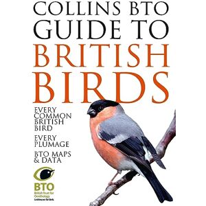 Sterry, Paul Collins BTO Guide to British Birds Sterry, Paul Collins BTO Guide to British Birds