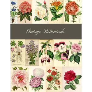 Press, White Barn Vintage Botanicals: A Beautiful Botany Collection for Junk Journals, Collage, Card Making and Many Paper Crafts Press, White Barn Vintage Botanicals: A Beautiful Botany Collection for Junk Journals, Collage, Card Making and Many Paper Crafts