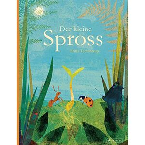 Teckentrup, Britta Der kleine Spross Teckentrup, Britta Der kleine Spross