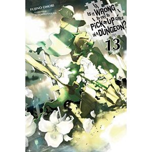 Omori, Fujino Is It Wrong to Try to Pick Up Girls in a Dungeon?, Vol. 13 (light novel): Volume 13 (IS WRONG PICK UP GIRLS DUNGEON NOVEL SC) Omori, Fujino Is It Wrong to Try to Pick Up Girls in a Dungeon?, Vol. 13 (light novel): Volume 13 (IS WRONG PICK UP GIRLS DUNGEON NOVEL SC)