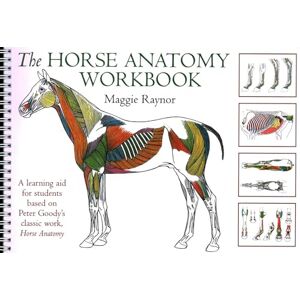 Raynor Horse Anatomy Workbook: A Learning Aid for Students Based on Peter Goody's Classic Work, Horse Anatomy (Allen Student) Raynor Horse Anatomy Workbook: A Learning Aid for Students Based on Peter Goody's Classic Work, Horse Anatomy (Allen Student)