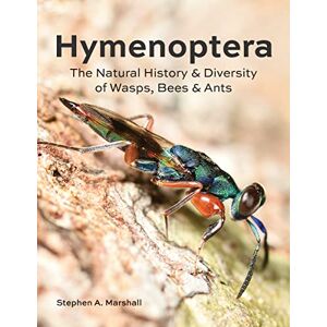 Marshall Hymenoptera: The Natural History and Diversity of Wasps, Bees and Ants Marshall Hymenoptera: The Natural History and Diversity of Wasps, Bees and Ants