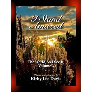 Lee I Stand Amazed: The World As I See It, Volume 3 Lee I Stand Amazed: The World As I See It, Volume 3