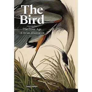 Kennedy, Philip The Bird: The Great Age of Avian Illustration Kennedy, Philip The Bird: The Great Age of Avian Illustration