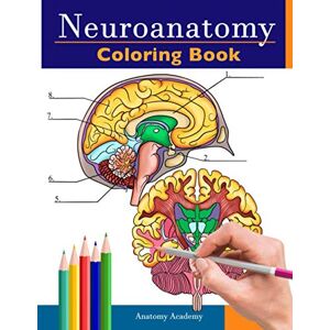 Academy, Anatomy Neuroanatomy Coloring Book: Incredibly Detailed Self-Test Human Brain Coloring Book for Neuroscience Perfect Gift for Medical School Students, Nurses, Doctors and Adults Academy, Anatomy Neuroanatomy Coloring Book: Incredibly Detailed Self-Test Human Brain Coloring Book for Neuroscience Perfect Gift for Medical School Students, Nurses, Doctors and Adults