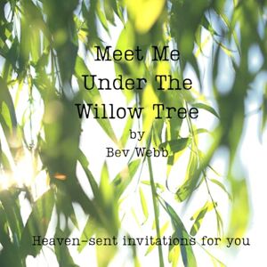 Webb, Bev Meet Me Under The Willow Tree: Heaven-sent invitations for you Webb, Bev Meet Me Under The Willow Tree: Heaven-sent invitations for you