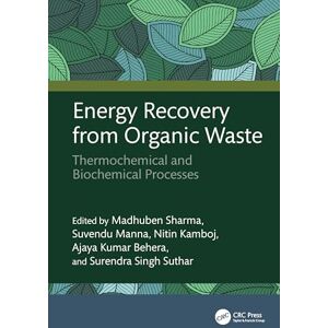 Energy Recovery from Organic Waste: Thermochemical and Biochemical Processes Energy Recovery from Organic Waste: Thermochemical and Biochemical Processes