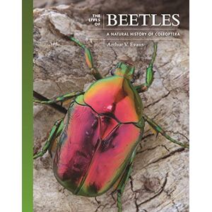 Evans, Arthur V. The Lives of Beetles: A Natural History of Coleoptera: 3 (The Lives of the Natural World) Evans, Arthur V. The Lives of Beetles: A Natural History of Coleoptera: 3 (The Lives of the Natural World)