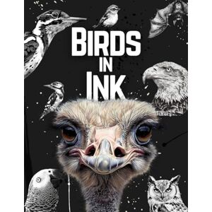 Aladdin Birds in Ink: A Sketch Archive of Birds: Over 240 Designs for Artists and Designers (Artistic Inspiration Series) Aladdin Birds in Ink: A Sketch Archive of Birds: Over 240 Designs for Artists and Designers (Artistic Inspiration Series)