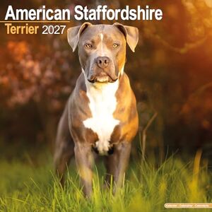 Avonside Publishing Ltd American Staffordshire Terrier 2027 Calendar Square Wall Calendar Dog Breed Gift Plastic Free Packaging by Avonside Publishing Avonside Publishing Ltd American Staffordshire Terrier 2027 Calendar Square Wall Calendar Dog Breed Gift Plastic Free Packaging by Avonside Publishing