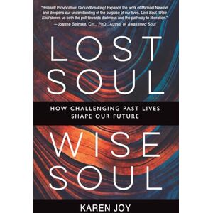 Joy, Karen Lost Soul, Wise Soul: How challenging past lives shape our future Joy, Karen Lost Soul, Wise Soul: How challenging past lives shape our future