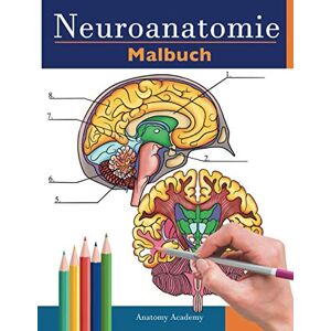 Academy, Anatomy neuroanatomie malbuch: Unglaublich detailliertes Selbsttest Buch über die Färbung des menschlichen Gehirns für die Neurowissenschaften Perfektes ... Pfleger, Ärzte und Erwachsene Academy, Anatomy neuroanatomie malbuch: Unglaublich detailliertes Selbsttest Buch über die Färbung des menschlichen Gehirns für die Neurowissenschaften Perfektes ... Pfleger, Ärzte und Erwachsene