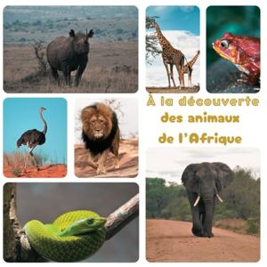 Bérubé, Camille À la découverte des animaux de l’Afrique Bérubé, Camille À la découverte des animaux de l’Afrique