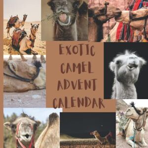 Print, Love EXOTIC CAMEL ADVENT CALENDAR: 24 Count Down Days Christmas Funny Magical Camels Pictures Advent Calendar Daily Animals Photos Til 25th December Calendar Print, Love EXOTIC CAMEL ADVENT CALENDAR: 24 Count Down Days Christmas Funny Magical Camels Pictures Advent Calendar Daily Animals Photos Til 25th December Calendar