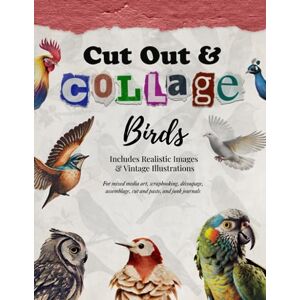 Designs, Figgy Cut Out and Collage — Birds — Includes Realistic Images and Vintage Illustrations: For mixed media art, scrapbooking, découpage, assemblage, cut and paste, and junk journals (Collage Artistry) Designs, Figgy Cut Out and Collage — Birds — Includes Realistic Images and Vintage Illustrations: For mixed media art, scrapbooking, découpage, assemblage, cut and paste, and junk journals (Collage Artistry)