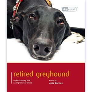 Julia D. Barnes Greyhound: Dog Expert Julia D. Barnes Greyhound: Dog Expert