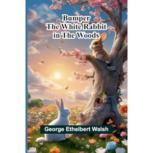 Ethelbert Walsh, George The Century Worlds Fair Book for Boys and Girls Being the Adventures of Harry and Philip with Their Tutor, Mr. Douglass, at the Worlds Columbian Exposition (Edition1) Ethelbert Walsh, George The Century Worlds Fair Book for Boys and Girls Being the Adventures of Harry and Philip with Their Tutor, Mr. Douglass, at the Worlds Columbian Exposition (Edition1)