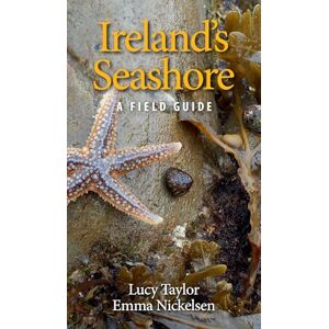 Taylor Ireland's Seashore: A Field Guide Taylor Ireland's Seashore: A Field Guide