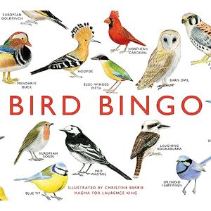 Bird Bingo (Magma for Laurence King) Bird Bingo (Magma for Laurence King)