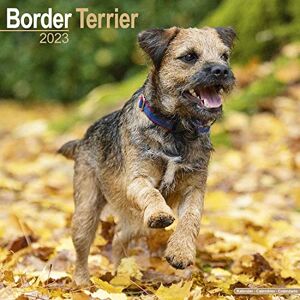 AVONSIDE Border Terrier Calendar 2023 Square Dog Breed Wall Calendar 16 Month AVONSIDE Border Terrier Calendar 2023 Square Dog Breed Wall Calendar 16 Month