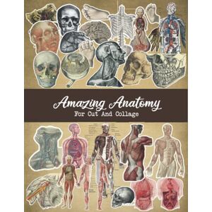 Publishing, Vintage Ephemera Amazing Anatomy For Cut And Collage: +100 Illustrations To Use For Mixed Media Projects, Scrapbooking and Junk Journaling Publishing, Vintage Ephemera Amazing Anatomy For Cut And Collage: +100 Illustrations To Use For Mixed Media Projects, Scrapbooking and Junk Journaling