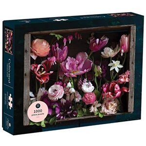 Princeton 9781648960031 Toy Princeton 9781648960031 Toy