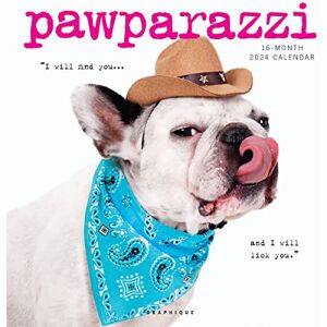 Graphique 2024 Pawparazzi Wall Calendar 12” x 12” Thick Paper Home & Office Organizer Large Monthly Grid 3 Languages & Marked Holidays 4 Month Preview Page for 2025 Graphique 2024 Pawparazzi Wall Calendar 12” x 12” Thick Paper Home & Office Organizer Large Monthly Grid 3 Languages & Marked Holidays 4 Month Preview Page for 2025