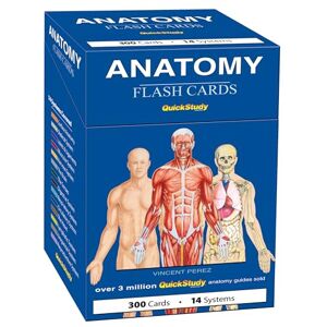 Vincent Anatomy Flash Cards: A Quickstudy Reference & Study Tool 300 Cards Vincent Anatomy Flash Cards: A Quickstudy Reference & Study Tool 300 Cards