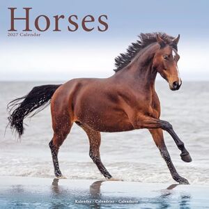 Avonside Publishing Ltd Horses 2027 Calendar Square Wall Calendar Animal Gift Plastic Free Packaging by Avonside Publishing Avonside Publishing Ltd Horses 2027 Calendar Square Wall Calendar Animal Gift Plastic Free Packaging by Avonside Publishing
