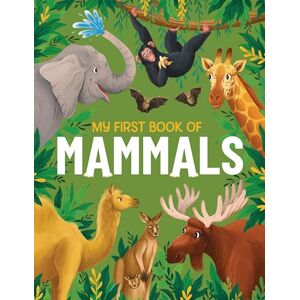 Eliza Jeffrey My First Book of Mammals: A amazing first Look at mammals found around the world: 3: An Awesome First Look at Mammals from Around the World: An Illustrated First Look at Mammals from Around the World Eliza Jeffrey My First Book of Mammals: A amazing first Look at mammals found around the world: 3: An Awesome First Look at Mammals from Around the World: An Illustrated First Look at Mammals from Around the World