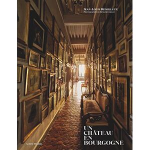 Remilleux, Jean-louis Un château en Bourgogne Remilleux, Jean-louis Un château en Bourgogne